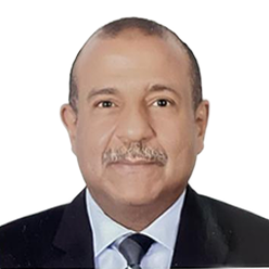 Mr. Amr Ibrahim Abu Al-Ayoun Abdel Nasser Selim